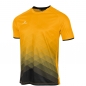 Preview: STANNO Trikot ALTIUS, kurzarm (410011-4480)