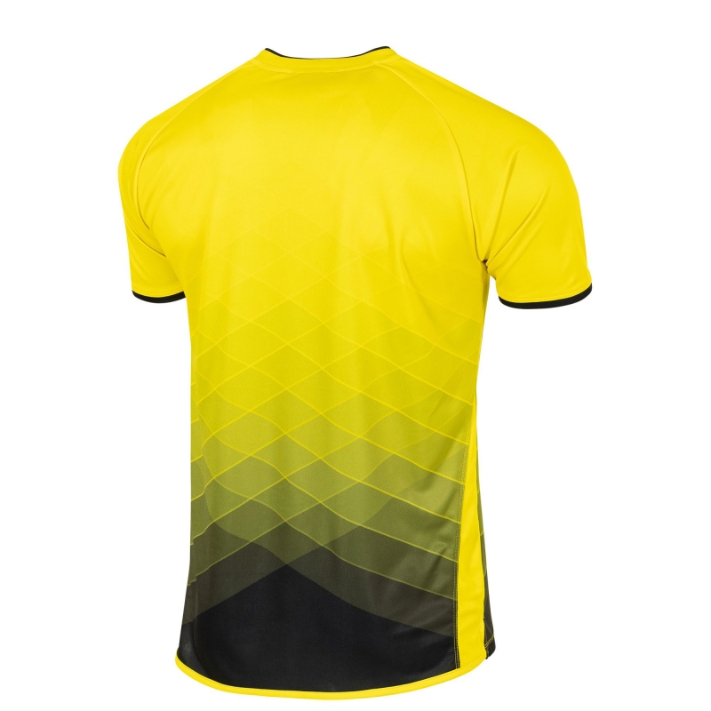 Preview: STANNO Trikot ALTIUS, kurzarm (410011-4800) Preview: STANNO Trikot ALTIUS, kurzarm (410011-4800)